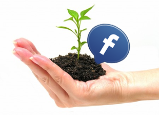 facebookgrow